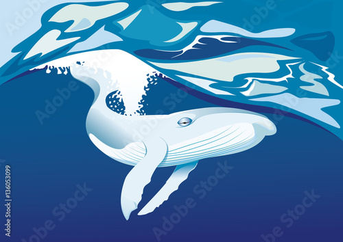 Baleine dansant sous l'eau