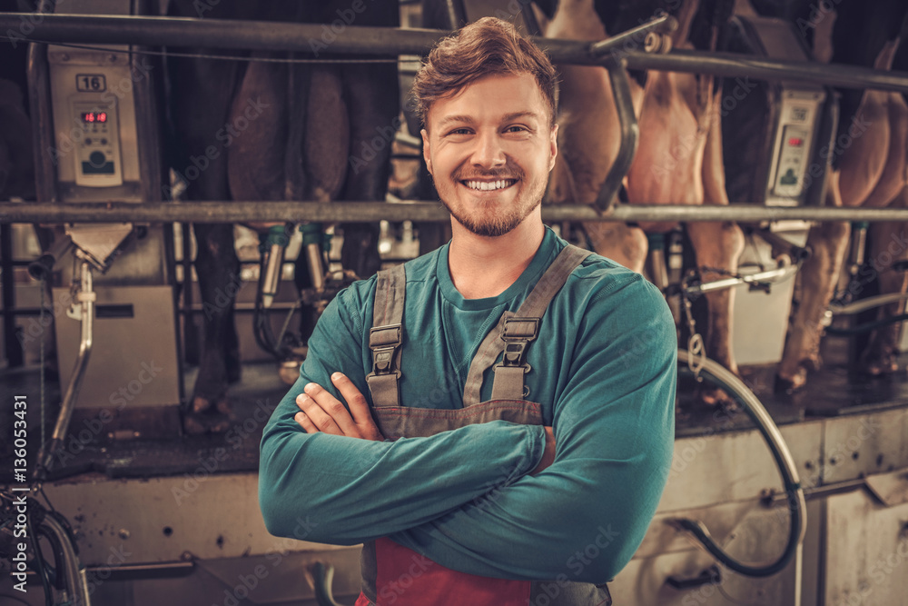 Friendly farmer milking cows at dairy farm Friendly farmer milking cows at dairy farm