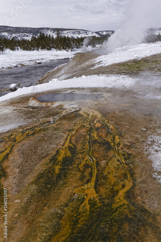 Hot springs in Old Faithful Basin, Yellowstone National Park