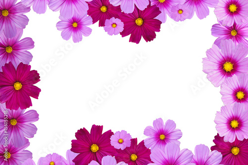 Fototapeta Naklejka Na Ścianę i Meble -  Flower Isolated on white background. Pink Flowers frames on white background.