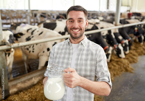 man or farmer with cows milk on dairy farm