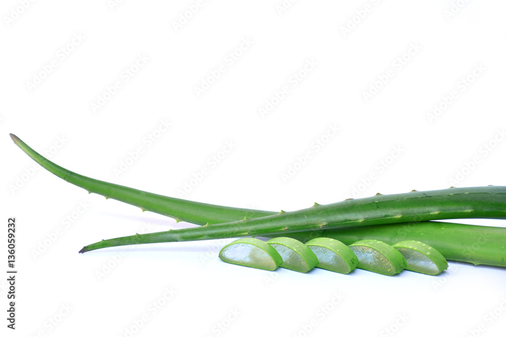 herb or Aloe Vera for healthy on white background isolate herb or Aloe Vera for healthy on white background isolate