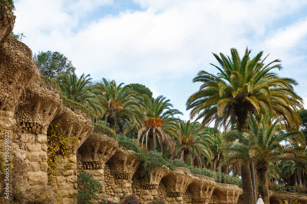 Palm trees in a park Guell