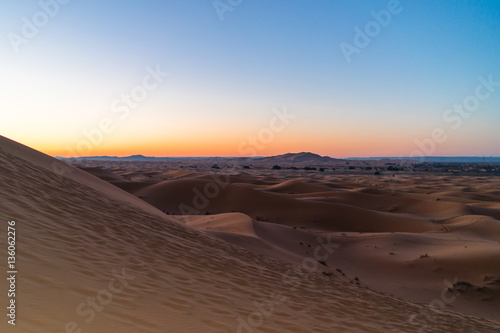 Sahara Desert  