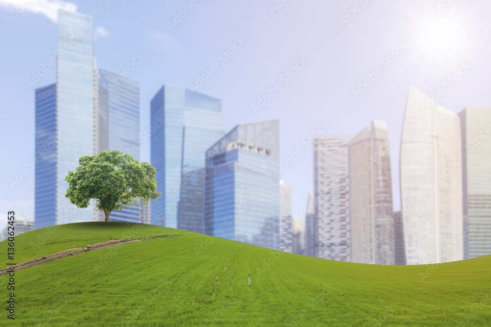 A single tree on a hill on the arches of verdant meadows and the beautiful backdrop of the skyscrapers.