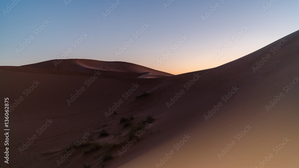 Sahara Desert
