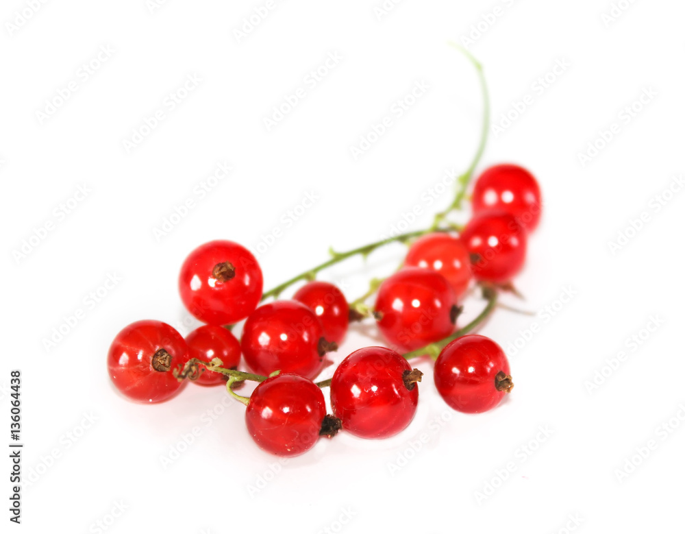 Red currant fruit closeup Red currant fruit closeup