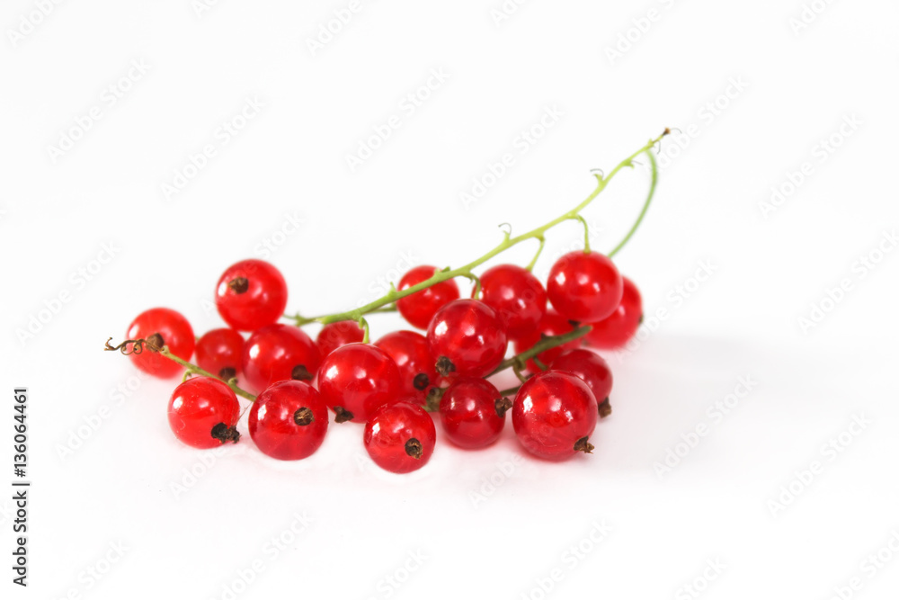 Ripe red currant berries Ripe red currant berries