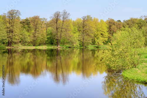 Spring forest reflected in the lake on a sunny day