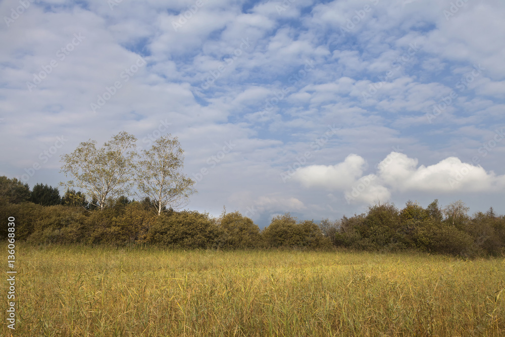 Finkensteiner Moor