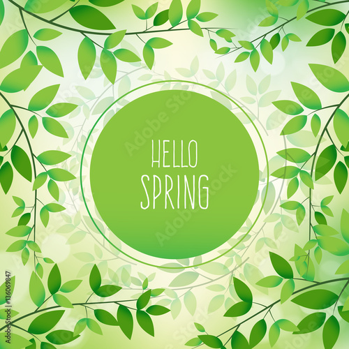 Hello Spring vector design. Elements for the spring season. Vector illustration