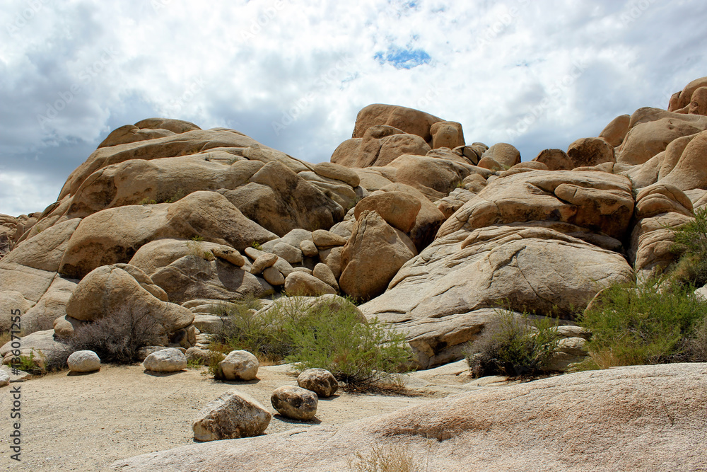 Joshua Tree National Park, Mojave Desert, California Joshua Tree National Park, Mojave Desert, California