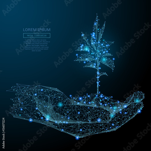 Abstract image of a human hands holding sprout in the form of a starry sky or space, consisting of points, lines, and shapes in the form of planets, stars and the universe. Vector business