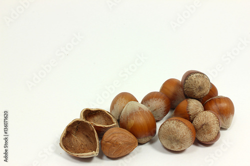 Foto fındıklar