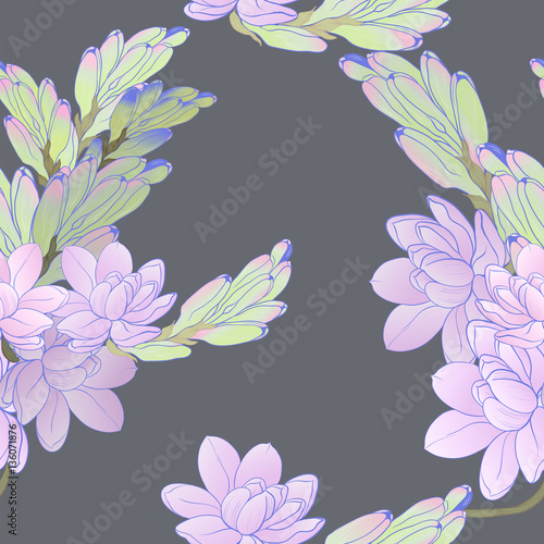 Tuberose Image medicinal, perfumery and cosmetic plants. Seamless pattern. Wallpaper. Use printed materials, signs, posters, postcards, packaging.