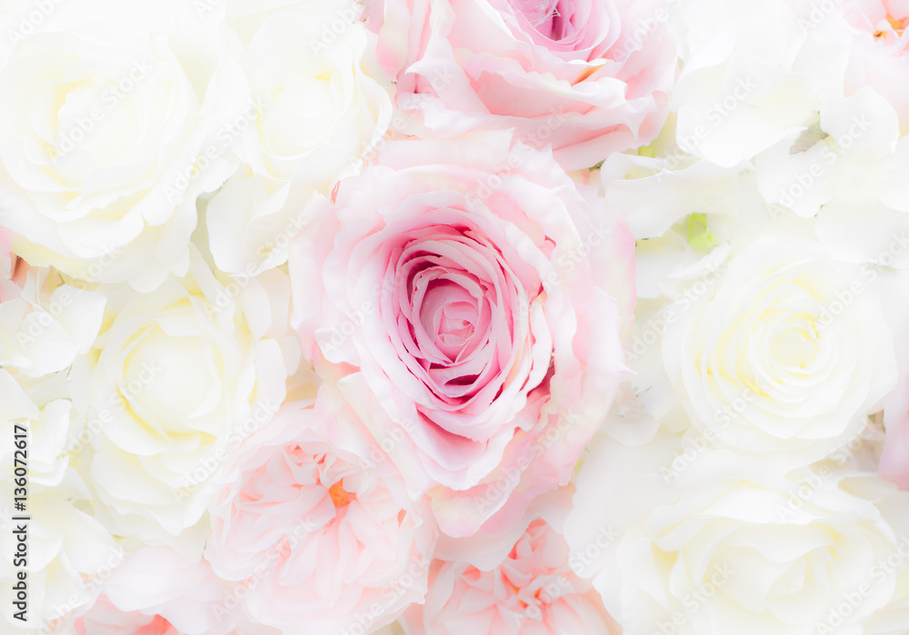 Pink and white roses background