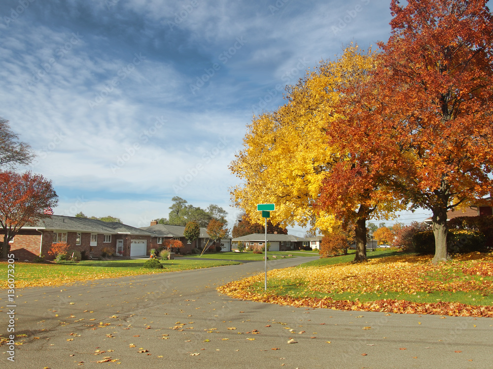 Naklejka premium neighborhood in autumn