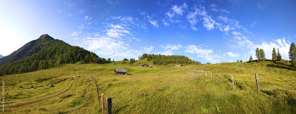 Obraz premium Ein Sommertag auf der Lackenalm