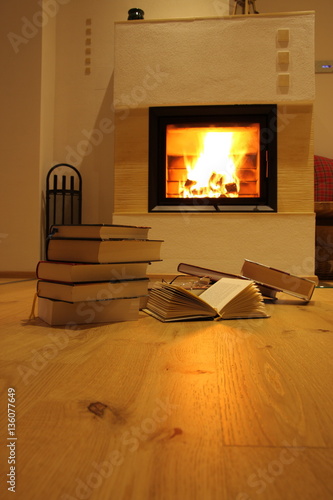  bücher auf holzfussboden vor kamin