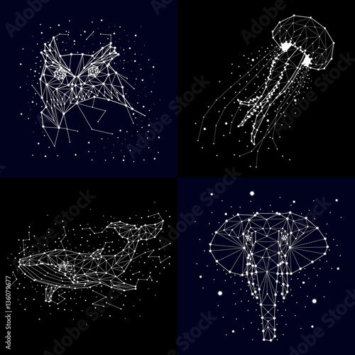 set of constellation , elephant, owl, whales , jellyfish, star , vector graphics