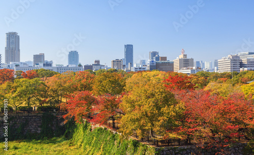 Aerial view of Osaka cityscape in autumn season at Osaka, Japan