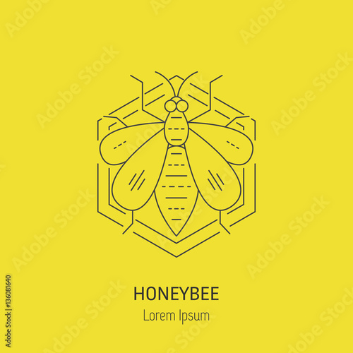 Honey Bee logo in yellow background