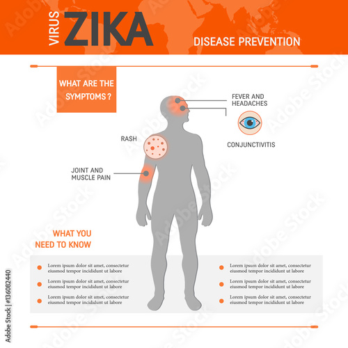 Zica virus infographic