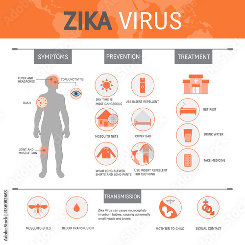 Zica virus infographic