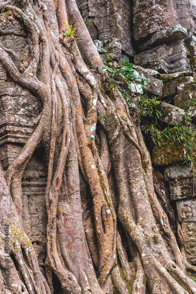 Angkor Wat, Cambodia - December 6, 2016: Galleries and tourists