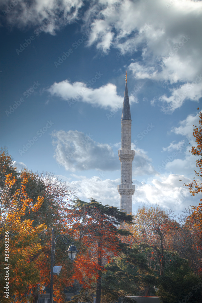 Obraz premium Turkey