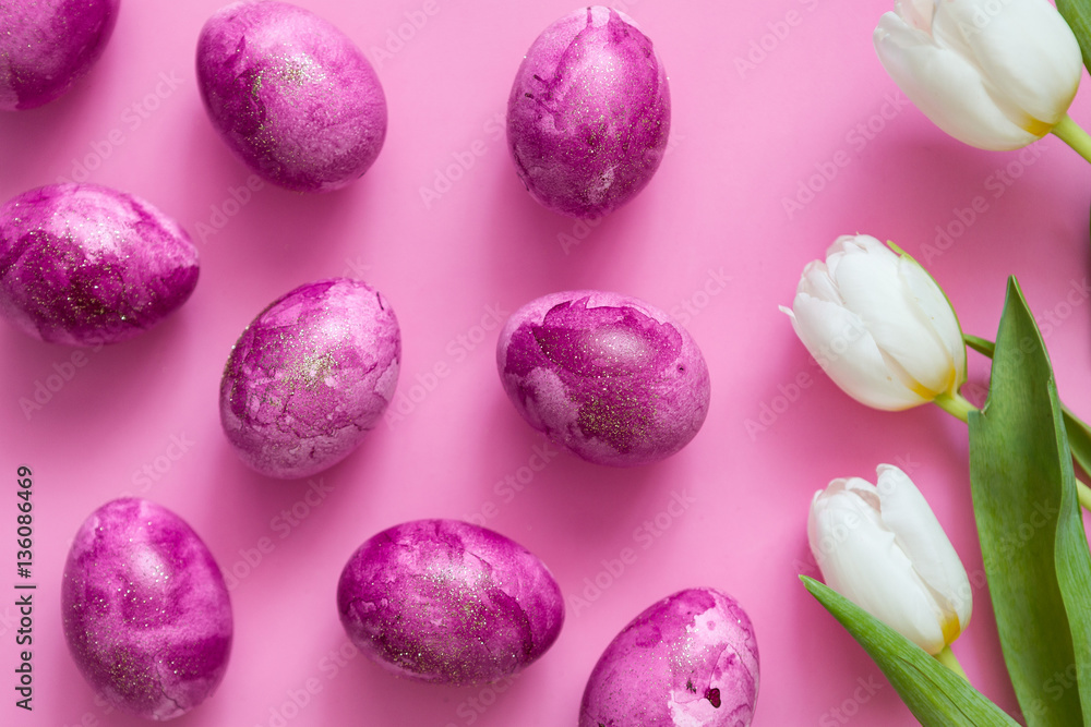 White tulips on pink background. Fresh flowers. Place for text. White tulips on pink background. Fresh flowers. Place for text.