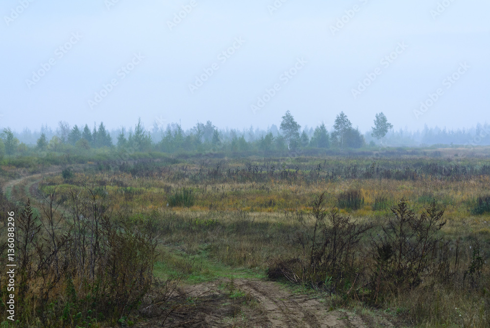 Fog in the field, road, Belarus, Brest region, September, autumn, morning, dawn,