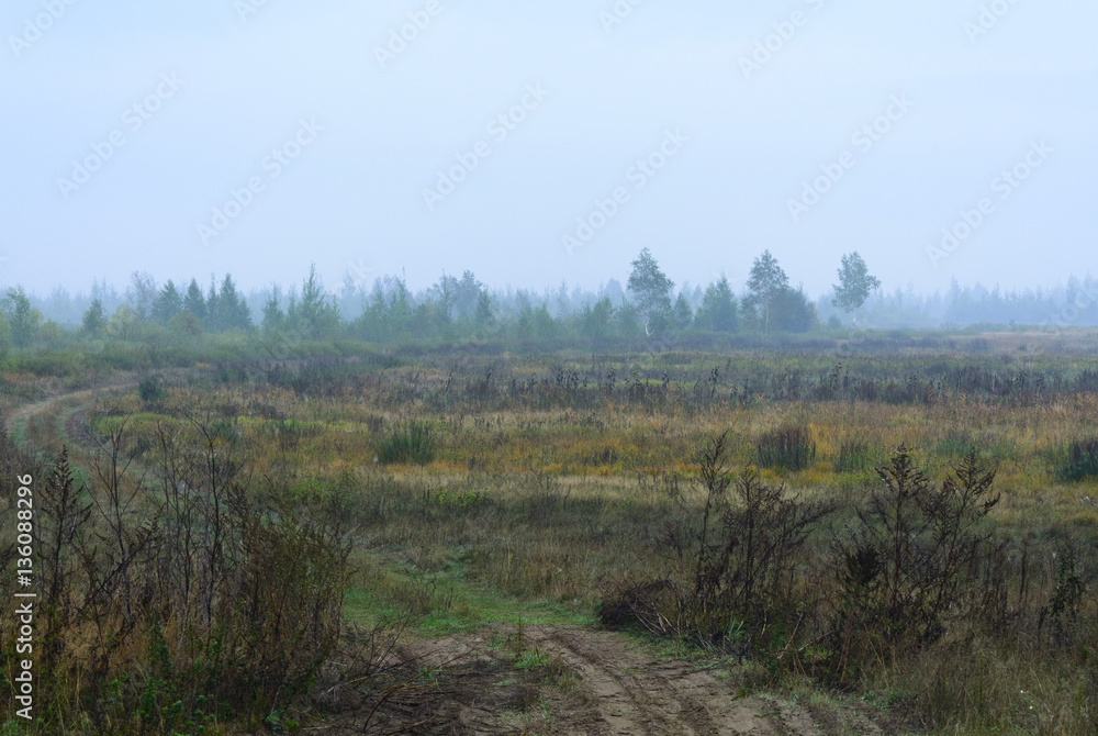 Fog in the field, road, Belarus, Brest region, September, autumn, morning, dawn, Fog in the field, road, Belarus, Brest region, September, autumn, morning, dawn,
