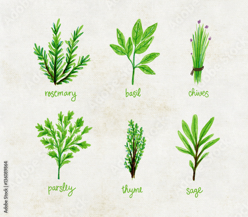 Fresh Herbs