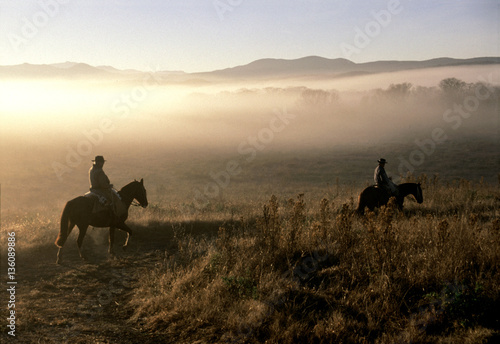 Foto caballos y gauchos