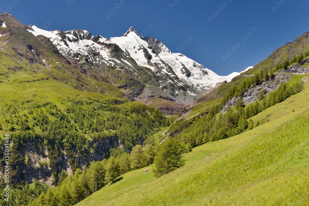 Obraz premium Meadows below Grossglockner, Alps, Austria