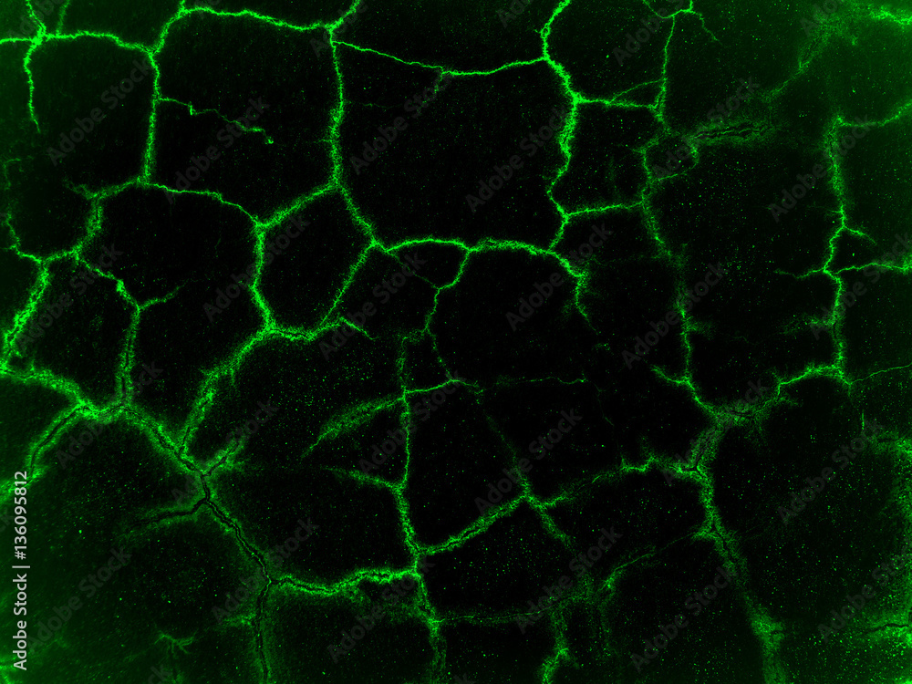 Wall fragment with green cracks