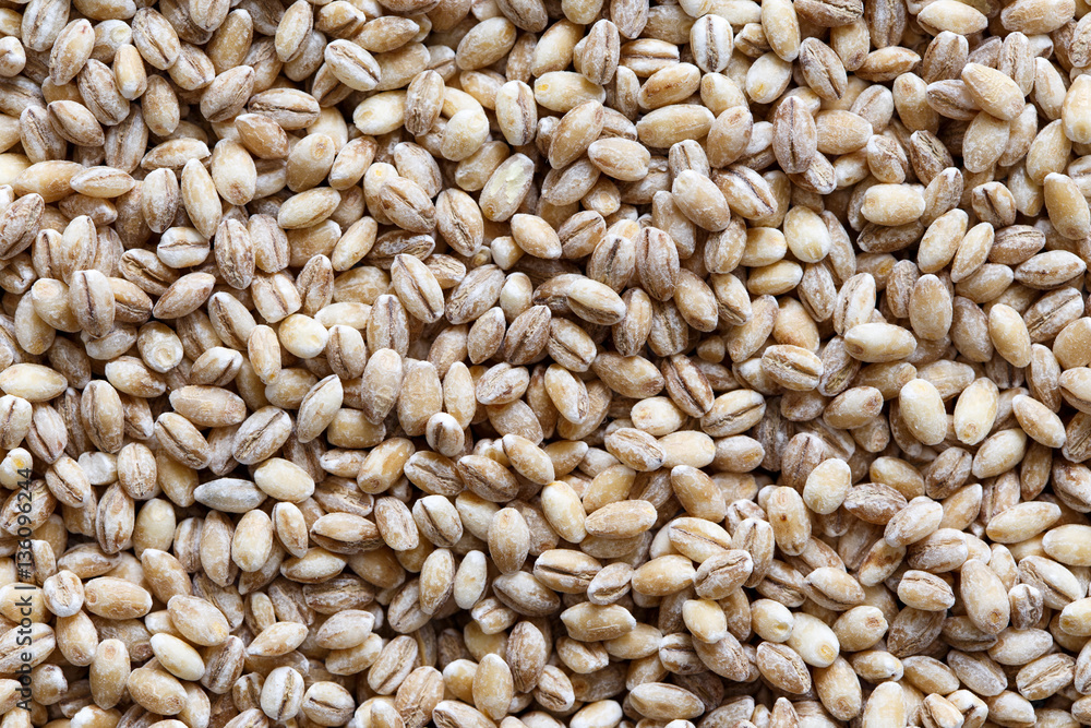 Background of dried pearl barley from above. Background of dried pearl barley from above.