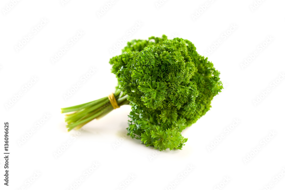 Parsley bunch isolated on white background Parsley bunch isolated on white background
