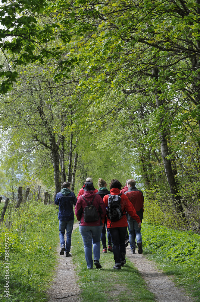 Obraz premium wandergruppe auf einem naturweg