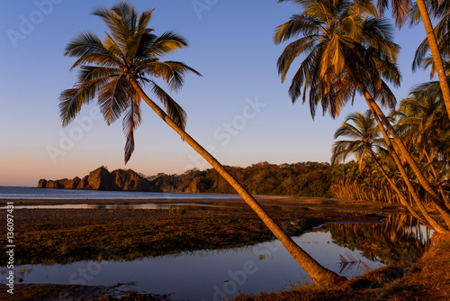 A sunset on a beach in Costa Rica. Palms © Ionia