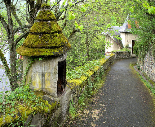 Rückweg vom mont cornadore, St.nectaire, vulkanauvergne photo