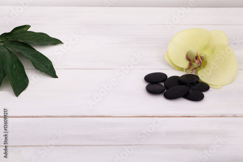 Spa and massage setting with frangipany flowers for Healthy treatments at spring or summer nature background