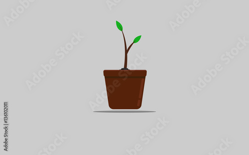 Tree in a pot flat icon