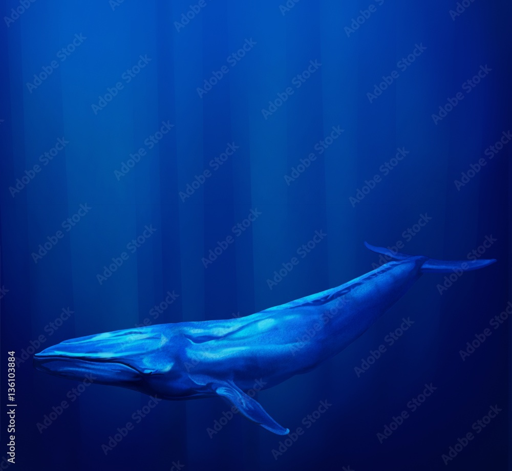 Naklejka premium Płetwal błękitny pływa pod wodą, a strumienie światła słonecznego z powierzchni oceanu tworzą wokół niego aureolę