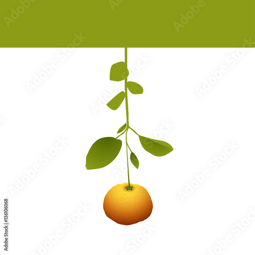 vitaminka  Web design
