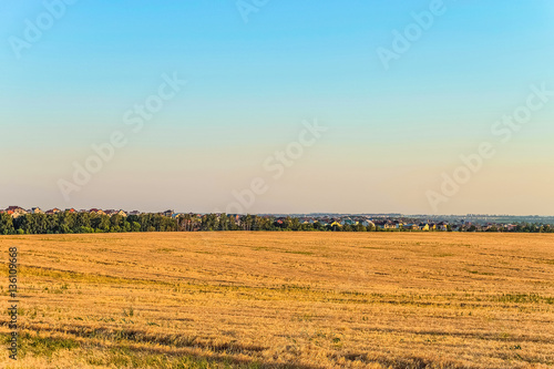 Flat landscape with a rye field and suburban houses on the horizon. Rural landscape. Belgorod region, Russia.
