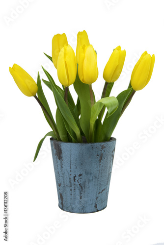 Fototapeta Naklejka Na Ścianę i Meble -  Gelbe Tulpen, Holz Vintage blau