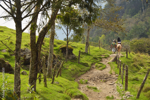 Horse riding in Cocora valley, Colombia