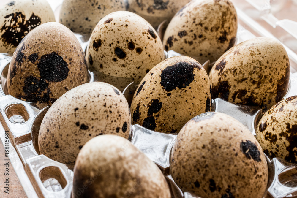 Obraz premium Quail Eggs in plastic box / carrier